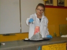 Pokazy chemiczne uczniów klas gimnazjalnych