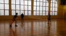 badminton _1